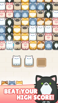 Box Cat Jam Block Match screen 7